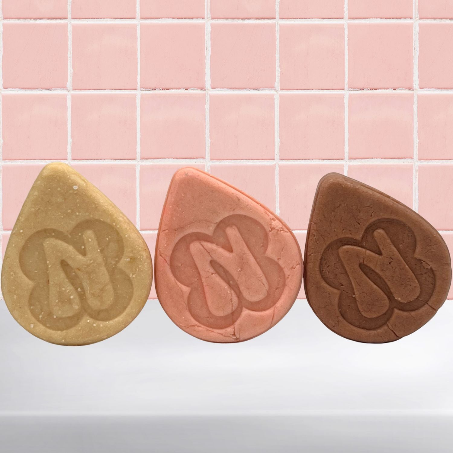 Shampoo and Conditioner Bars